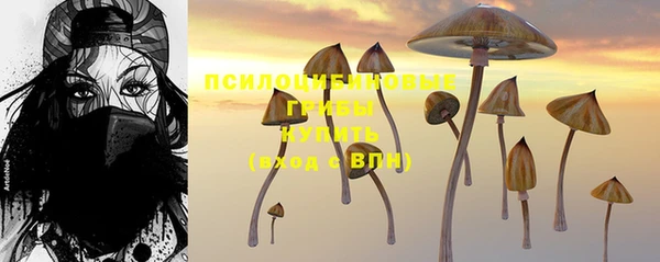 спайс Россошь