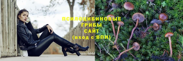 спайс Россошь