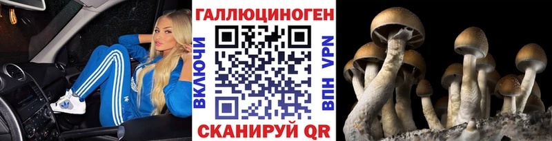 Псилоцибиновые грибы GOLDEN TEACHER  blacksprut зеркало  Сафоново 