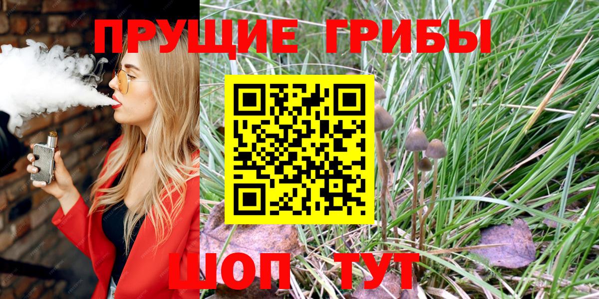 Сафоново  Псилоцибиновые грибы Psilocybine cubensis  Псилоцибиновые грибы Psilocybe  Вход с VPN 